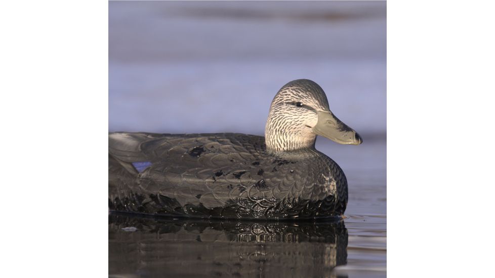 Greenhead Gear Over-Size Duck Decoy,Black Ducks,1/2 Dozen 73015