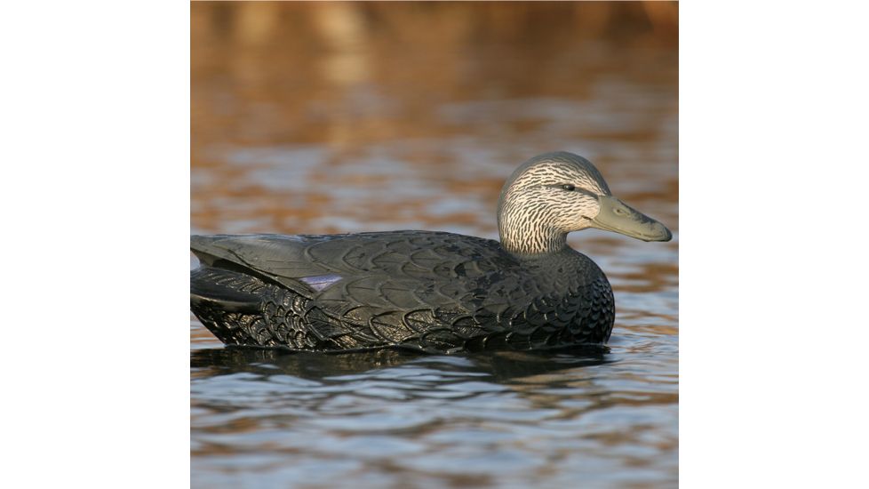 Greenhead Gear Over-Size Duck Decoy,Black Ducks,1/2 Dozen 73015
