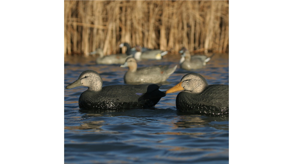 Greenhead Gear Over-Size Duck Decoy,Black Ducks,1/2 Dozen 73015
