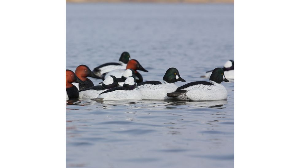 Greenhead Gear Over-Size Duck Decoy,Diver Duck Pack,1/2 Dozen 70252