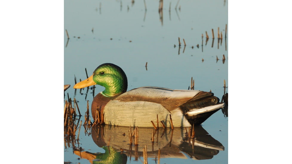 Greenhead Gear Over-Size Duck Decoy,Mallards,1/2 Dozen 73013