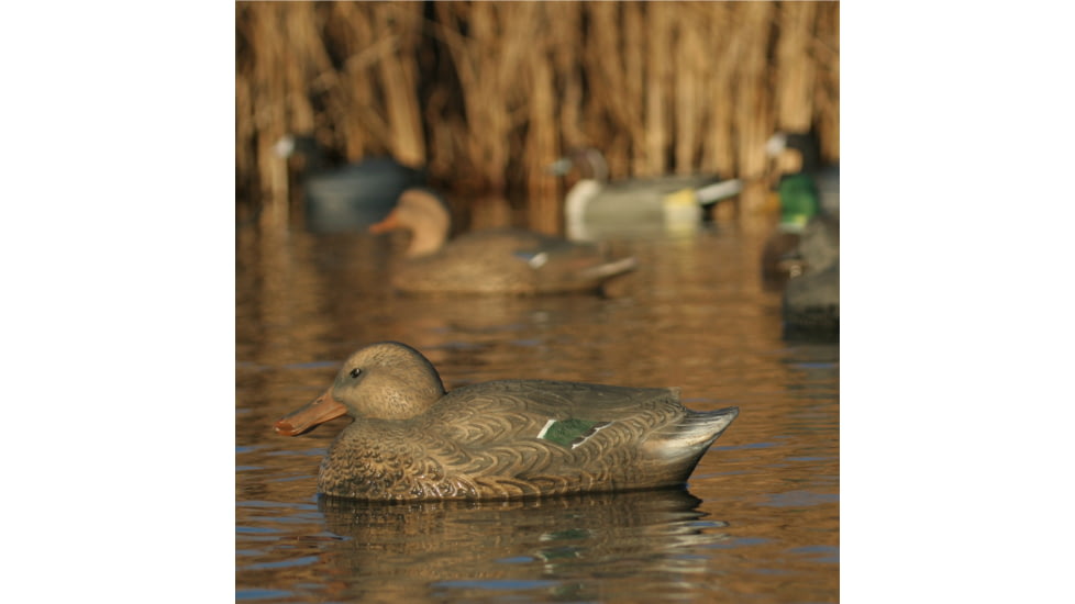 Greenhead Gear Over-Size Duck Decoy,Shovelers,1/2 Dozen 73010