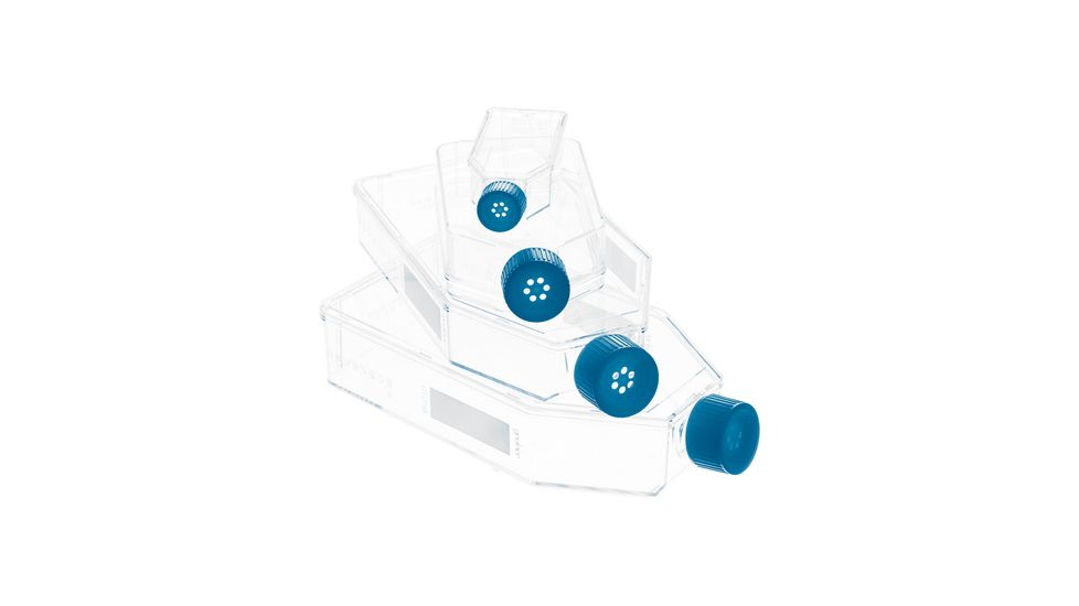 Greiner Bio-One Flask Culture Screw Cap Cs120 658970, Unit CS
