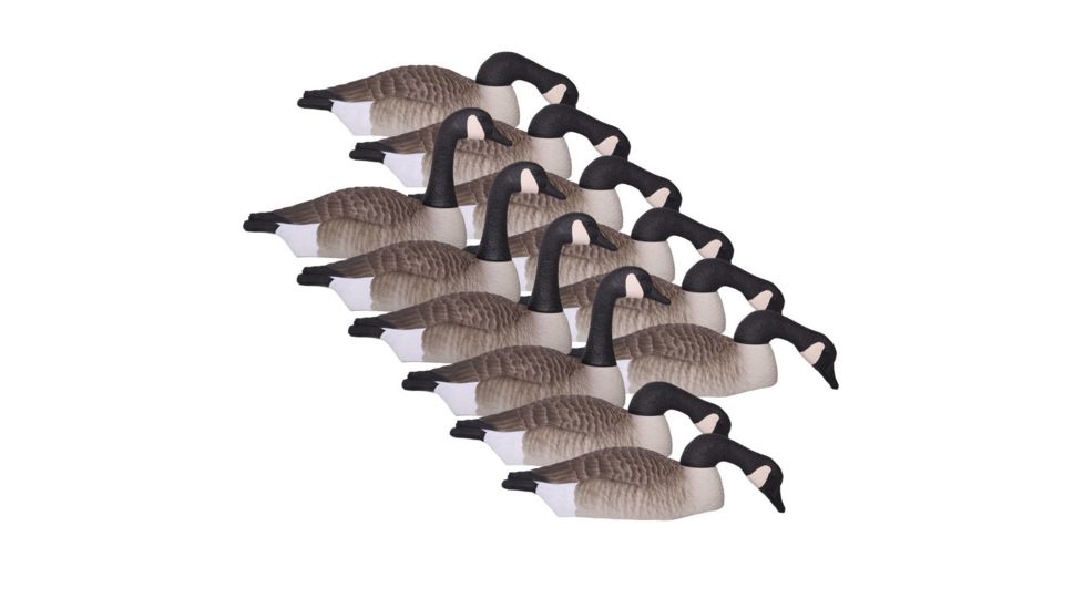 Hard Core Field Series Canada Goose Shells - Touchdown, 12-pack, 01-100-0021