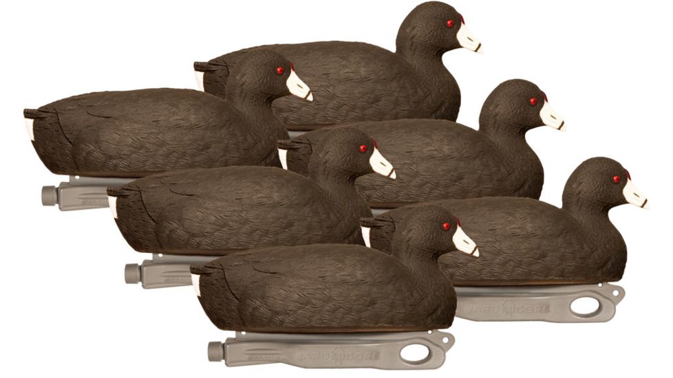 Hard Core Field Series Coot, 6-pack, 01-213-0005