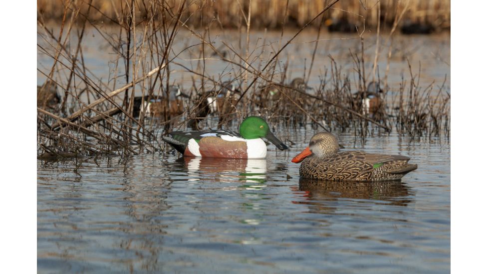 Hard Core Rugged Shoveler, 6-pack, 01-213-0004