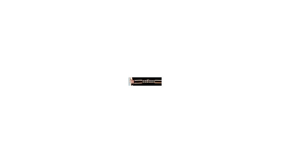 Hart Schaffner Marx HSM T-120 SEHS T12000 Bifocal Prescription Eyeglasses - Cordovan Stripe SEHS T120005445 BN