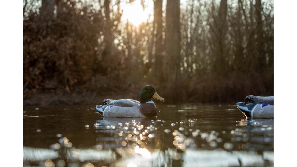Higdon Outdoors Battleship Oversized Mallards Pack, Flocked Heads, 6 Pack, 16034