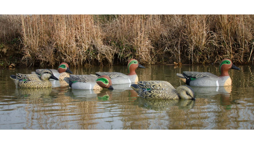 Higdon Outdoors Standard Green Wing Teal Pack, Multi Color, Foam Filled, 6 Pack, 19943
