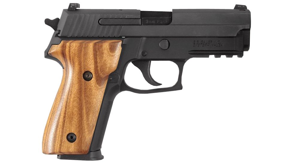 Hogue SIG Sauer P228, P229 Goncalo 28210