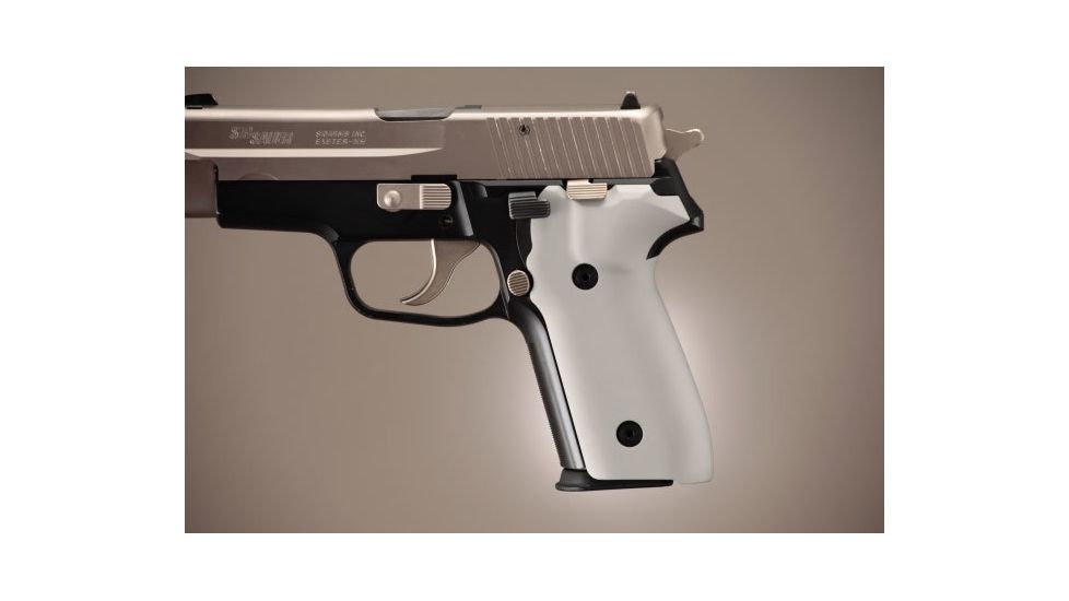 Hogue SIG Sauer P228 - P229 Aluminum - Matte Clear Anodized 28164