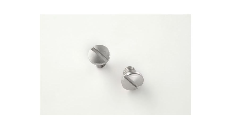 Hogue SIG Sauer P230 Screws (2) Slotted - Stainless Finish 30018