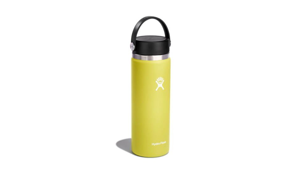 Hydro Flask 20 Oz Wide Flex Cap, Cactus, 20 oz, W20BTS752