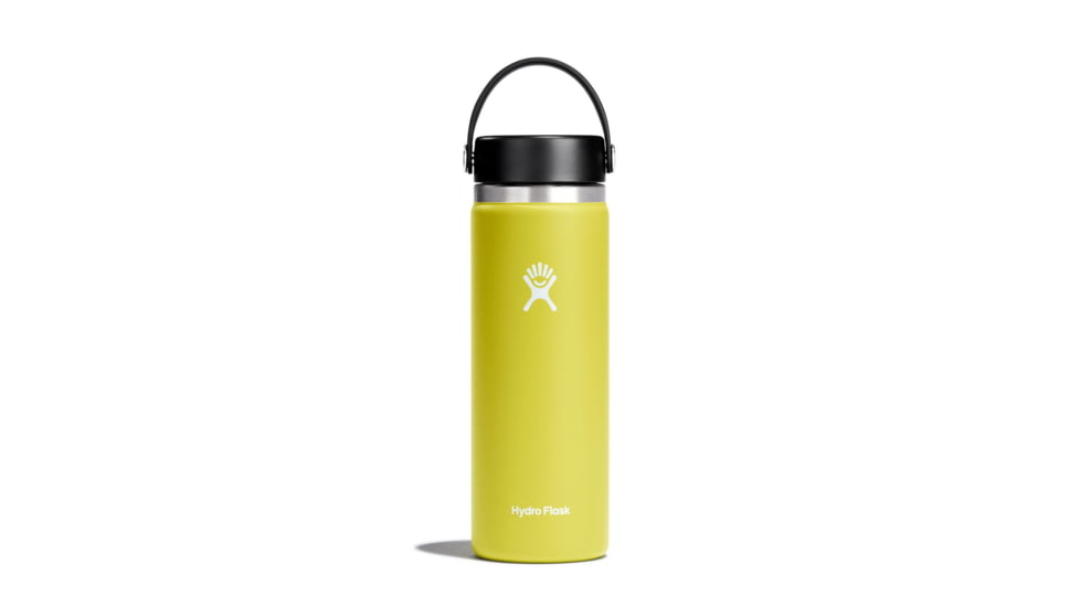 Hydro Flask 20 Oz Wide Flex Cap, Cactus, 20 oz, W20BTS752