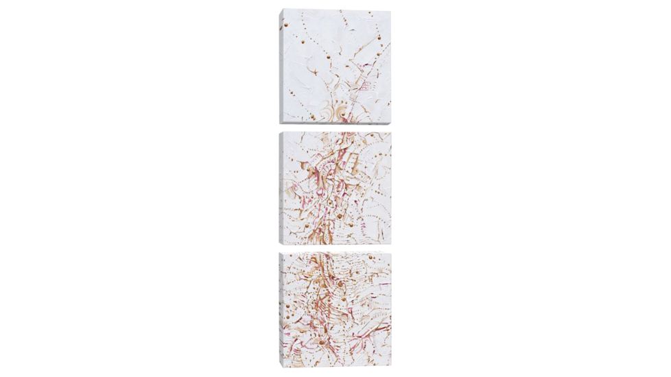 iCanvas Appearance Of The Soul by Piero Manrique Canvas Print, Multi, 48 x 16 PIE1-3PC3-48x16