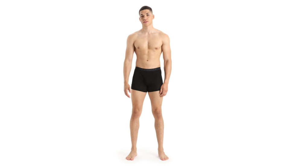 Icebreaker 175 Everyday Thermal Boxers w/ Fly - Mens, Black, Small, IB104485001S