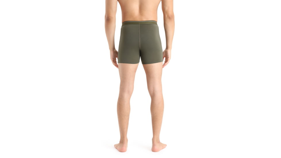 Icebreaker Merino 150 Anatomica Boxers - Men's, Loden, Extra Large, IB103029069XL