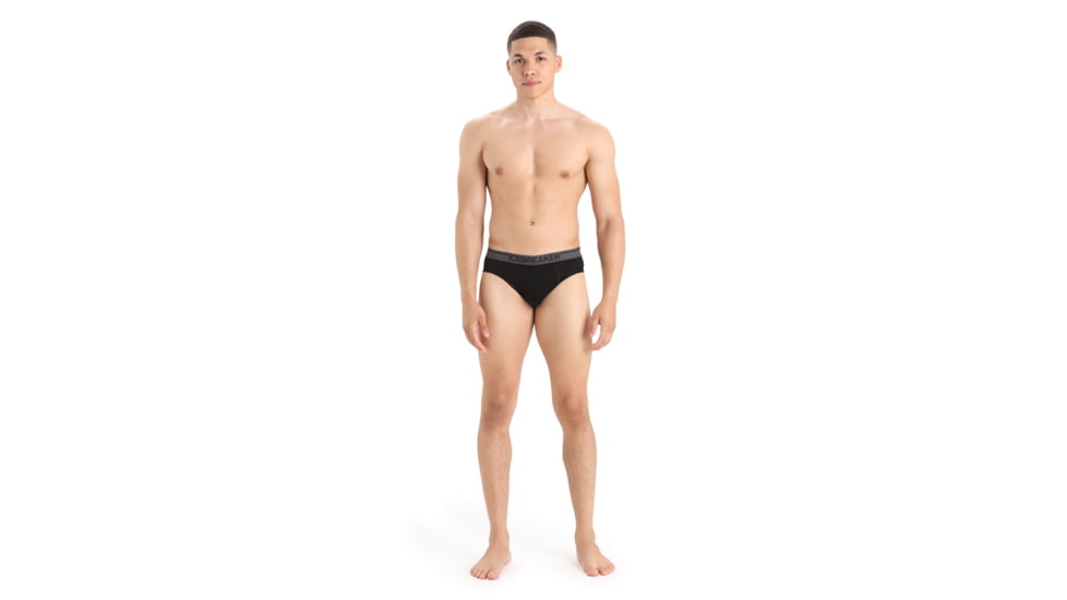 Icebreaker Anatomica Briefs - Mens, Loden, Medium, IB103031069M
