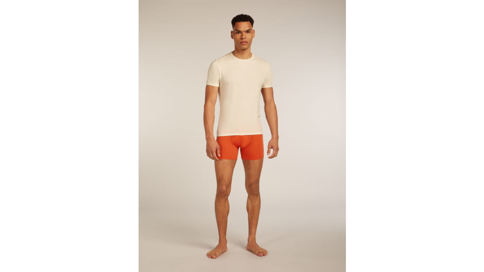 Icebreaker Merino 150 Anatomica Boxers wFly - Mens, Fervid, Extra Large, IB1030300GTXL