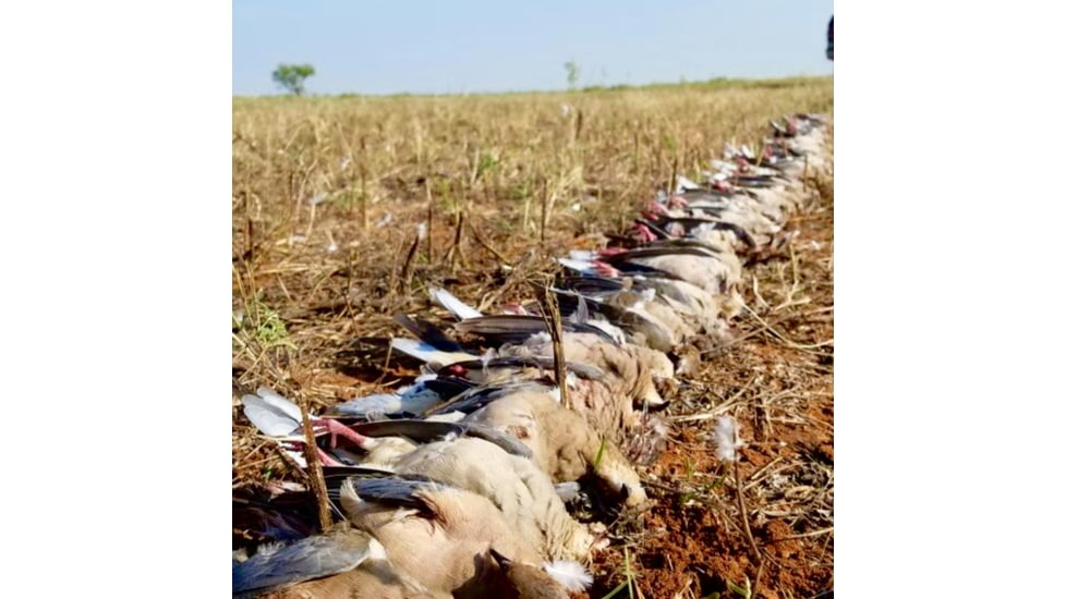 Jebs Choke Tubes Upland and Wing-Shooting Choke for Remington, 20 Gauge, Matte, Close Range, JPCUP-20A2/CR