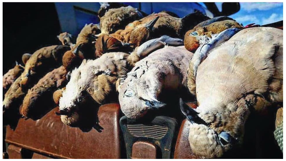 Jebs Choke Tubes Upland and Wing-Shooting Choke for Remington, 20 Gauge, Matte, Close Range, JPCUP-20A2/CR