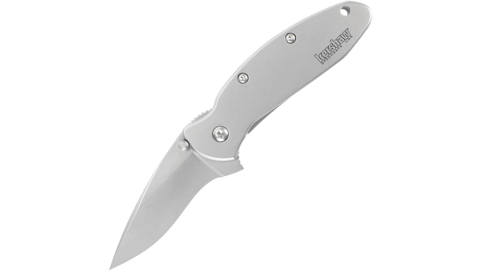 Kershaw Scallion Assisted Opening Folding Knife, 2.4 in, Stainless Steel, Drop Point Blade, Stainless Steel, Bead Blast Finish Stainless Handle, 1620FLB