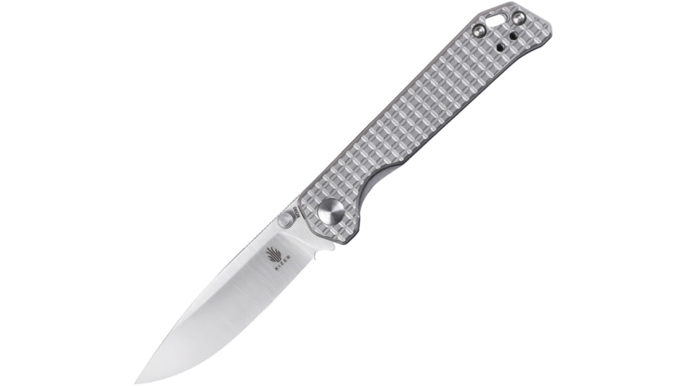 Kizer Cutlery Begleiter Mini Linerlock