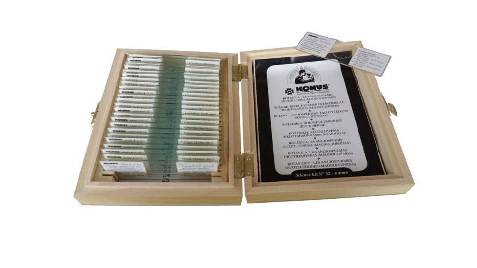 Konus Prepared Slides for Konus Kids Microscopes, Set of 25, Botany, Angiospermae, Dicotyledons, Magnoliopsidae 4985