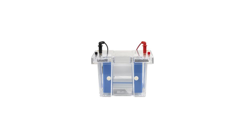 Labnet Enduro Vertical Electrophoresis Systems