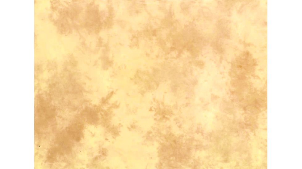 Lastolite 10x24 Washable Muslin Background, Arizona LLLB7854