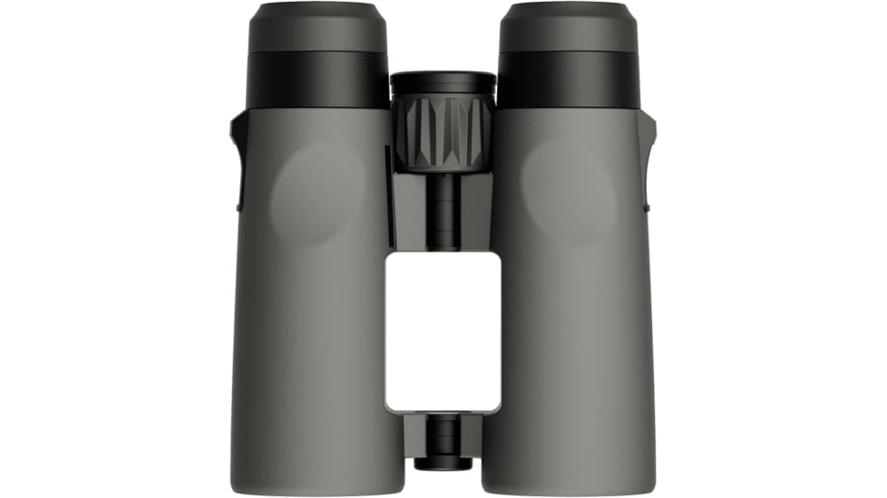 Leupold Gen 2 BX-4 Pro Guide HD 10x42mm Binocular, Grey/Black, Small, 184761