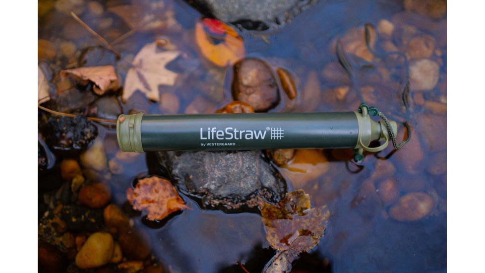 LifeStraw Personal Water Filter Straw, Green, LSPHF047