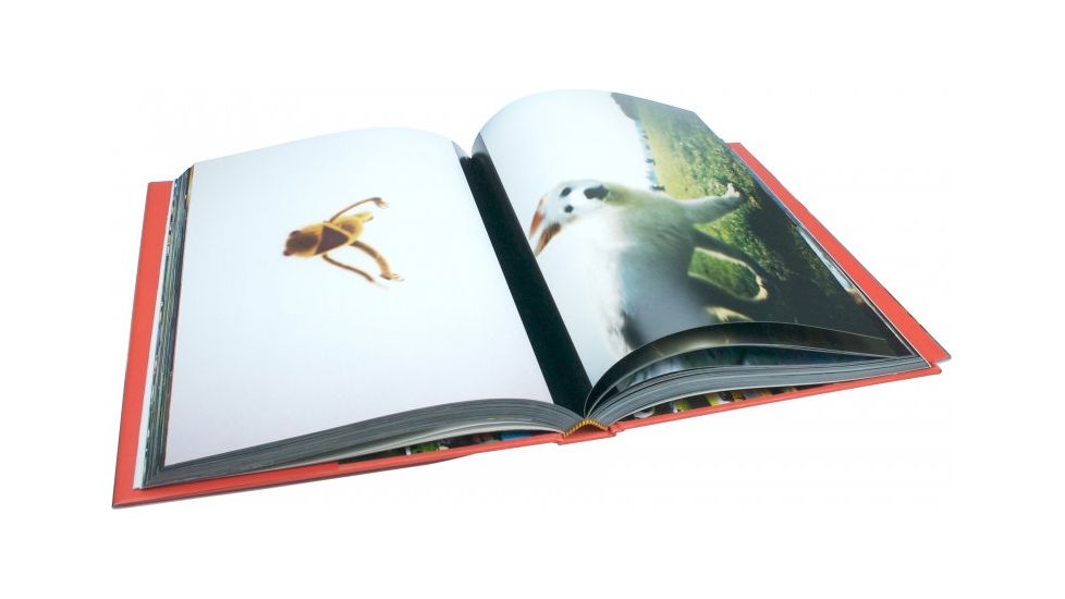 Lomography Don't Think. Just Shoot. Book 735