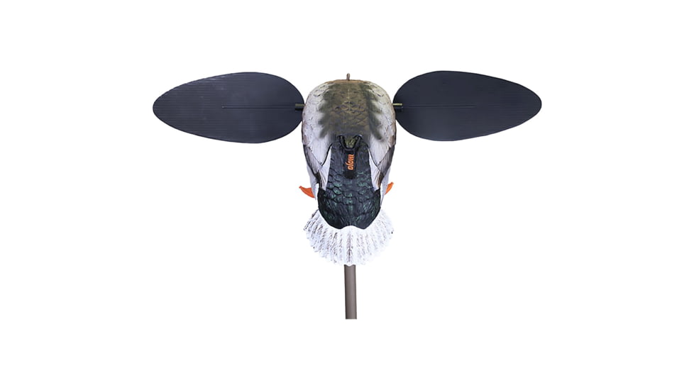 Mojo Baby Drake 2.0 Decoy, Mallard Drake, HW2566