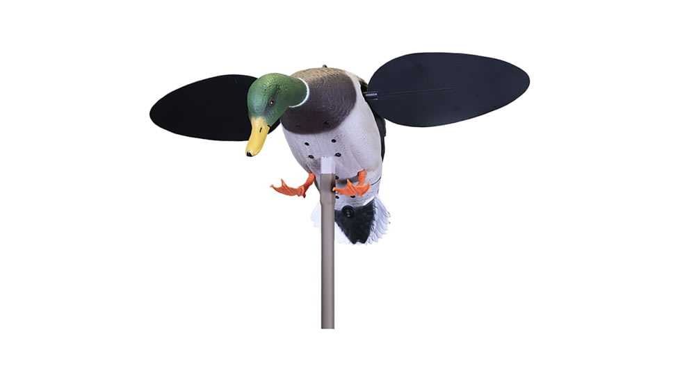 Mojo Baby Drake 2.0 Decoy, Mallard Drake, HW2566