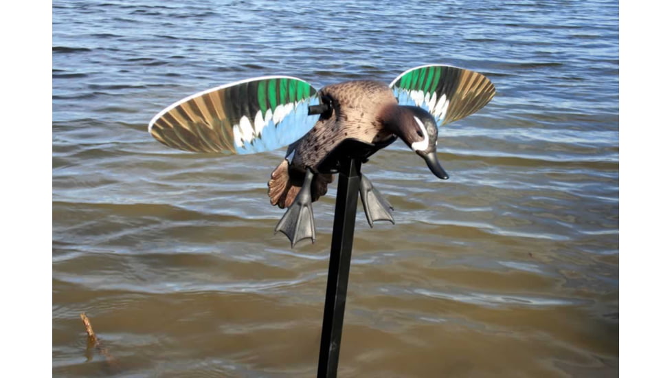 Mojo Blue Wing Teal, Elite Series, HW2475