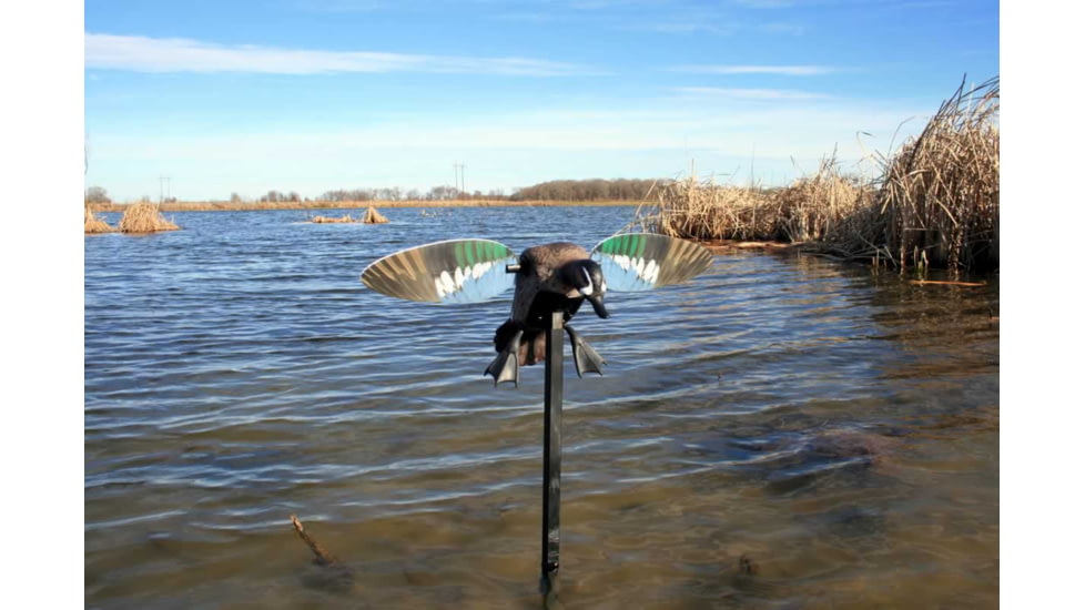 Mojo Blue Wing Teal, Elite Series, HW2475