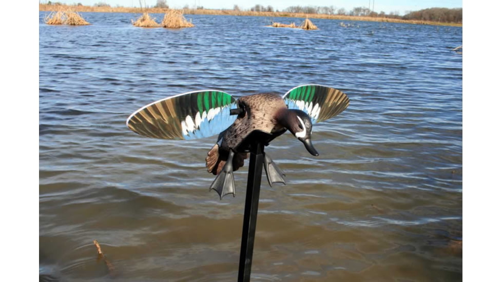 Mojo Blue Wing Teal, Elite Series, HW2475