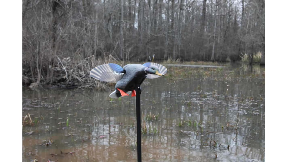 Mojo Elite Series Mini Mallard Drake Decoy HW24703P
