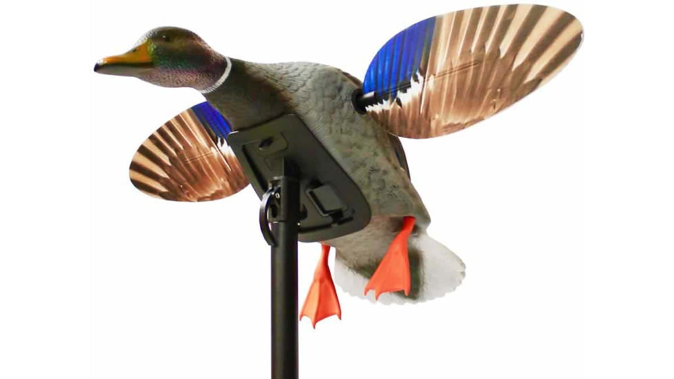 Mojo Mallard Elite Series Mini Mallard Drake Decoy, Plastic, HW24703P