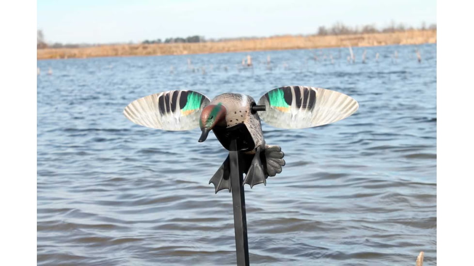 Mojo Green Wing Teal Decoy, Elite Series, HW2474
