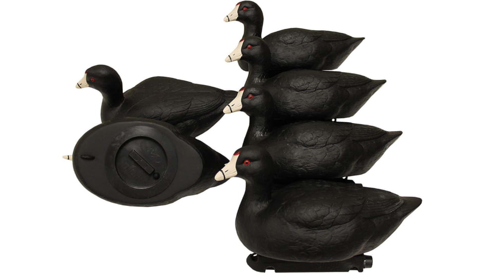 Mojo MOJO Coot Confidence Decoys