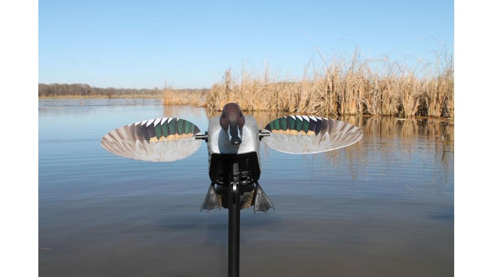 Mojo Pintail Decoy, Elite Series HW2469