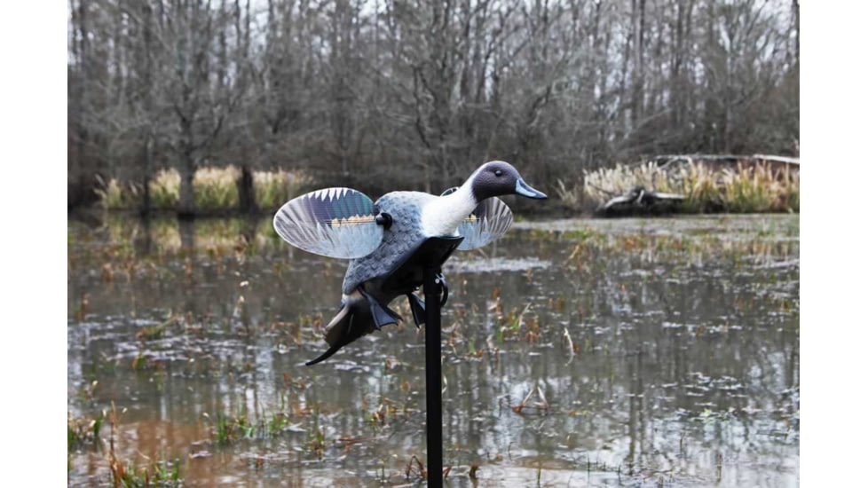 Mojo Pintail Decoy, Elite Series, HW2469