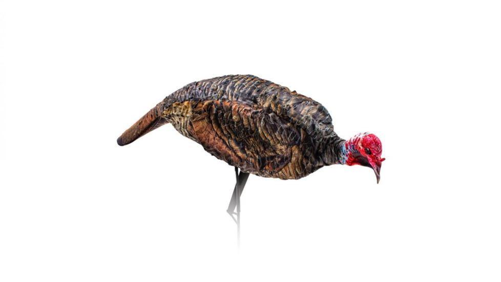 Montana Decoy Co. Jake and Miss PurrFect Pair XD Turkey Combo, QW0086