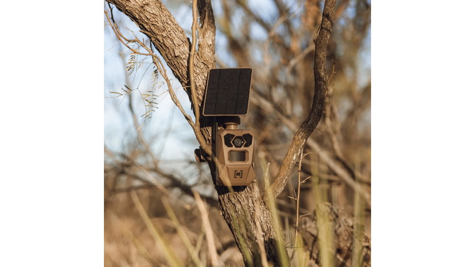 Moultrie Feeders Edge 4 Solar Cellular Trail Camera, 40MP, Brown, MMC-14269