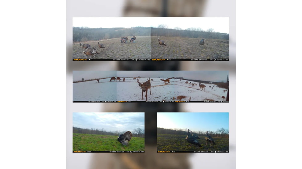 Muddy Trifecta 180 Cellular Trail Cam 36Mp Dual Network, MUDTRF180