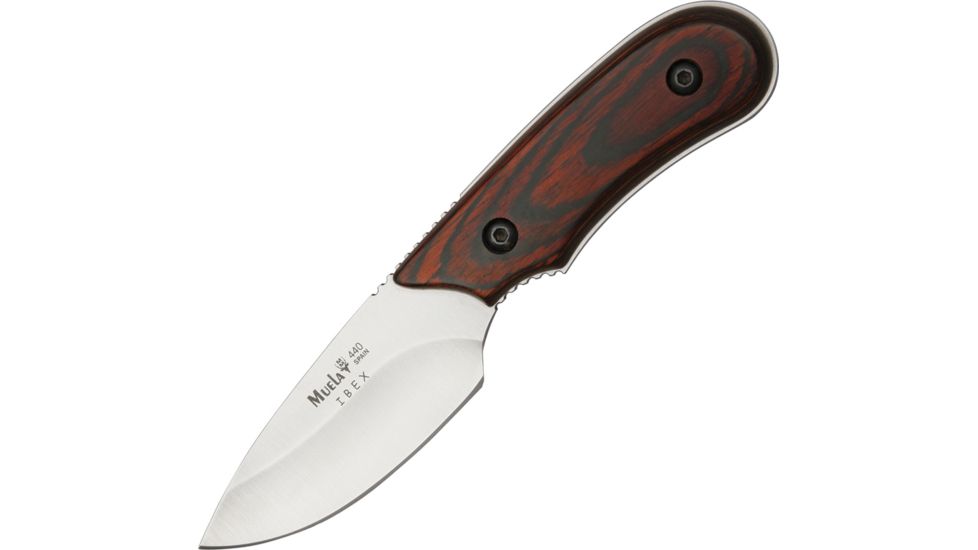 Muela Mini Upswept Skinner Knife, 6.5in. CI8R
