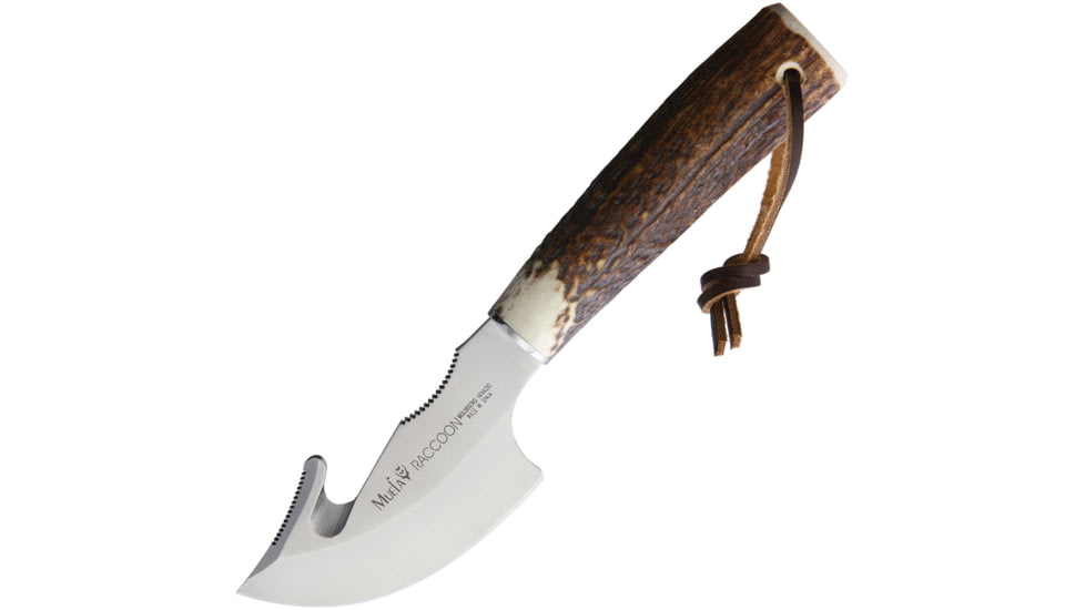 Muela Raccoon 8A Fixed Blade Knife, 3 satin finish 1.4116 stainless guthook blade, Stag bone handle, RACCOON-8A
