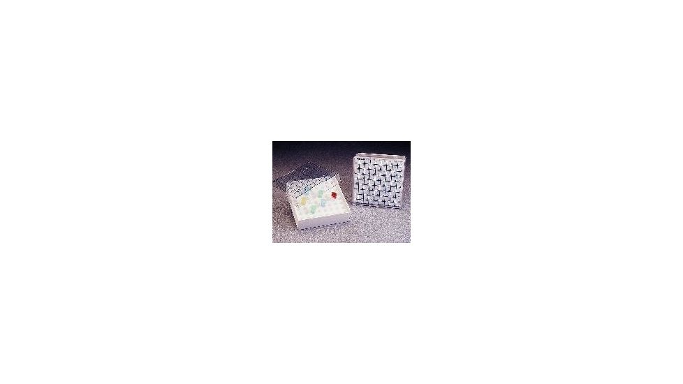 Nalge Nunc Box Microcenttube Pc .2ML CS24 5055-5002 Box Microcenttube Pc .2ML CS24